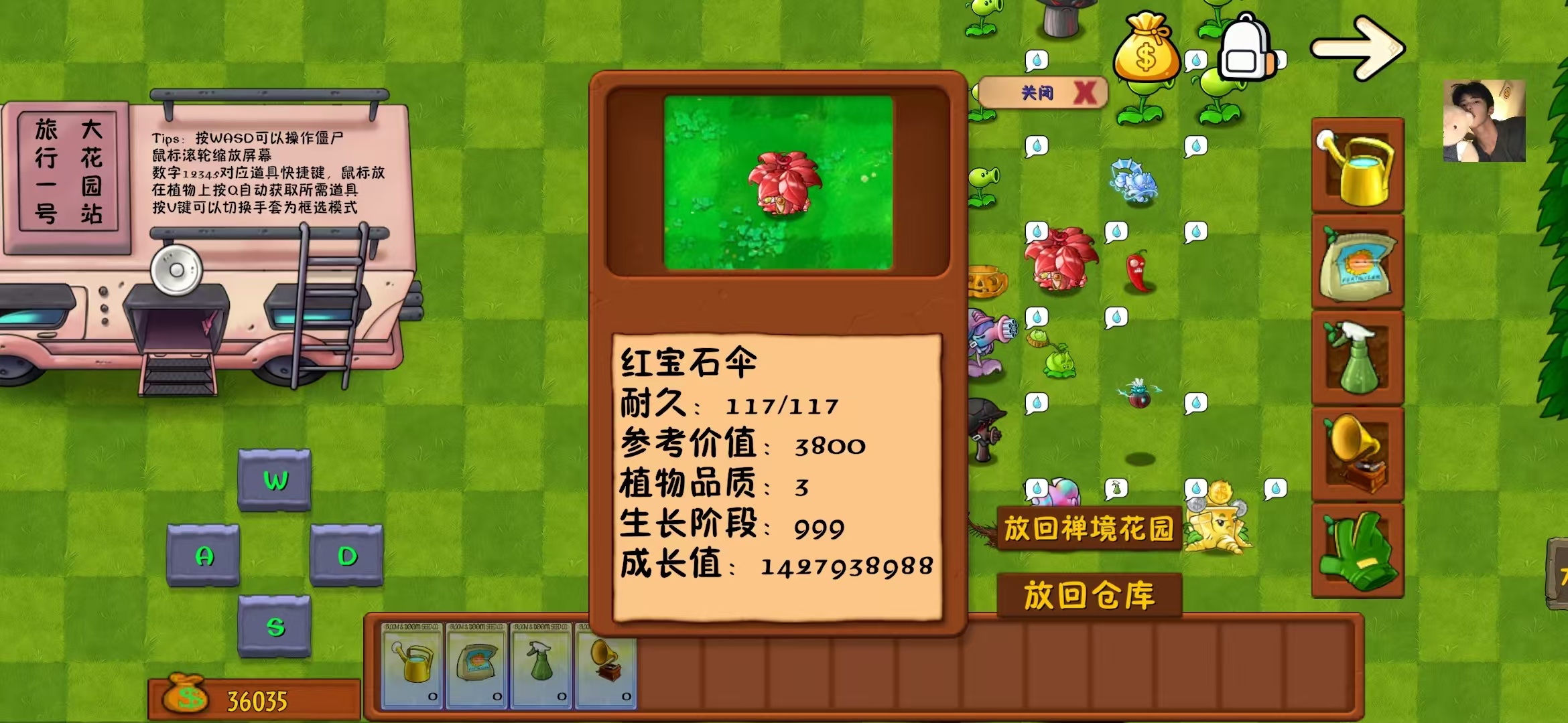 植物大战僵尸 3.1最新 内置多项菜单版 【来源：赤道365论坛】 帖子ID:59802 