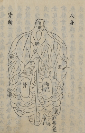 新刻华佗内照图 图文解说 【来源：赤道365论坛】 帖子ID:60599 华佗,新刻,解说