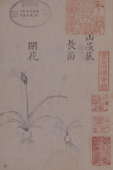 太乙紫金丹方 清代定名并作为急救药使用 【来源：赤道365论坛】 帖子ID:60657 